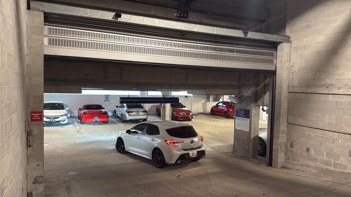 Parking Gates — detail